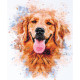 Cross Stitch Kit "Friend"