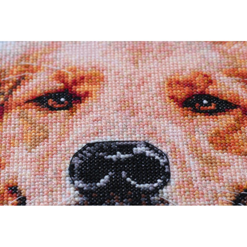 Cross Stitch Kit "Friend"