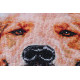 Cross Stitch Kit "Friend"