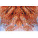 Cross Stitch Kit "Friend"