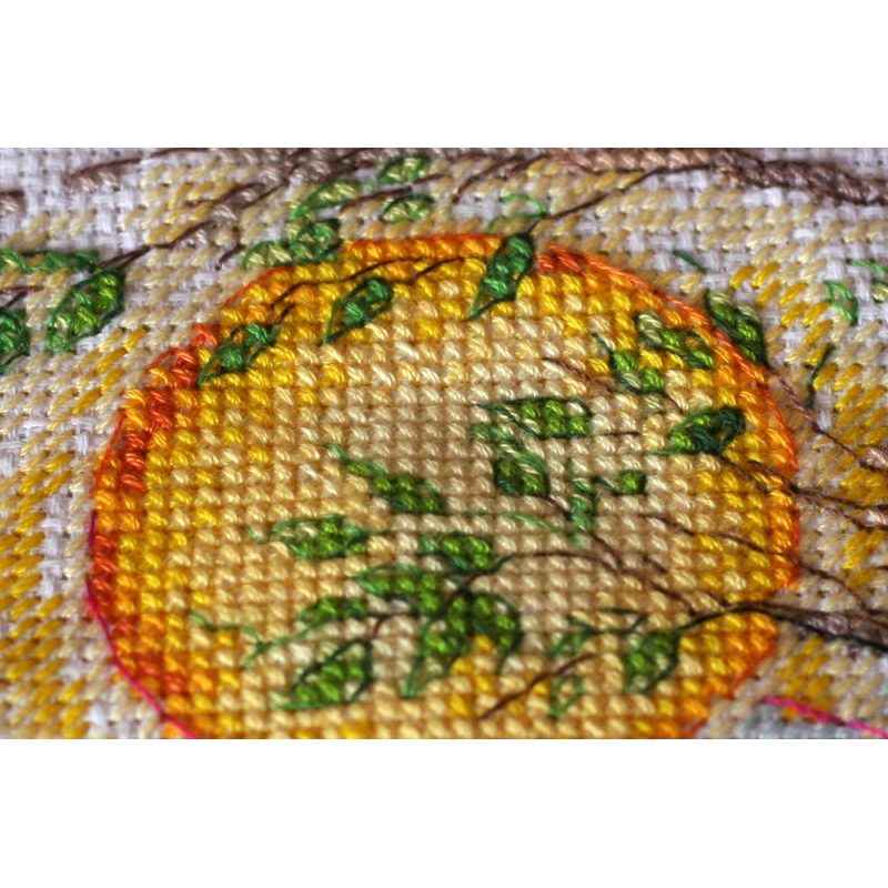Cross Stitch Kit "Color magic"