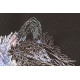 Cross Stitch Kit "wolf"