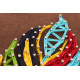 String Art Kit "Multicolored feather"