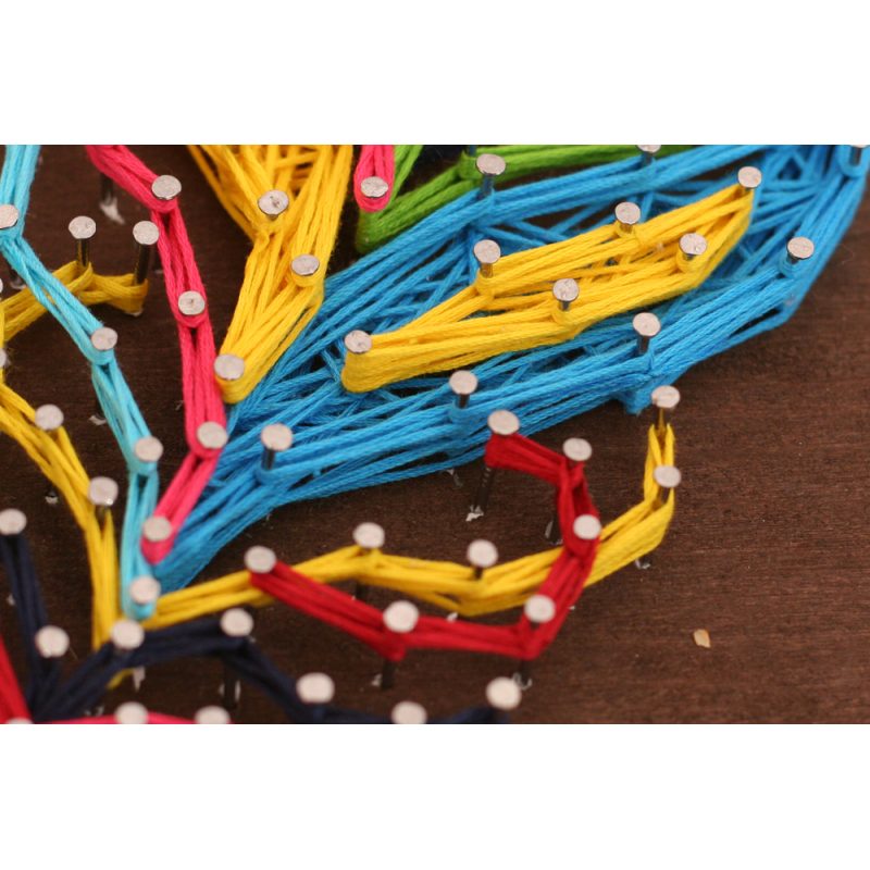 String Art Kit "Multicolored feather"