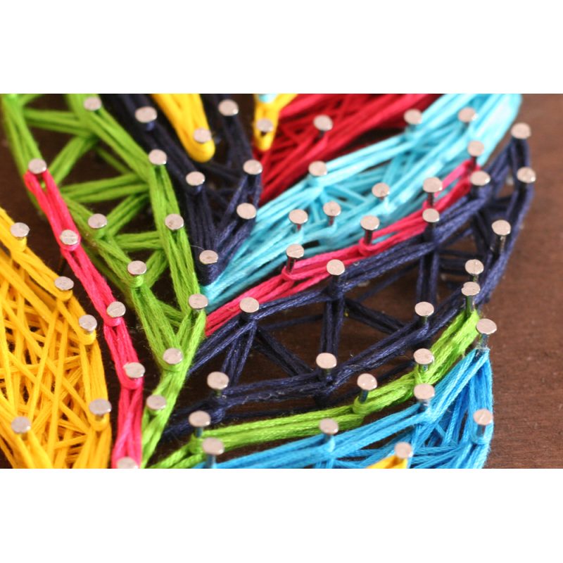String Art Kit "Multicolored feather"