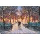 Bead Embroidery Kit on Art Canvas "Winter date"