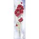 Bead Embroidery Kit on Art Canvas "Poppy flower"