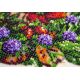 Bead Embroidery Kit on Art Canvas "Summer morning"