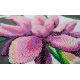 Bead Embroidery Kit on Art Canvas "Blooming lotus"