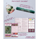 Bead Embroidery Kit on Art Canvas "Majestic wisdom"