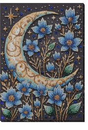 Bead Embroidery Kit on Art Canvas "A magical night"