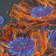 Bead Embroidery Kit on Art Canvas "Neon Poppies"