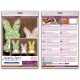 String Art Kit "Little hares"