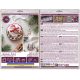 Christmas Ornament Bead Embroidery Kit "Christmas Song"