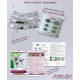 Christmas Ornament Bead Embroidery Kit "Emerald gaze"