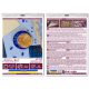 Christmas Ornament Bead Embroidery Kit "Celestial Duet"