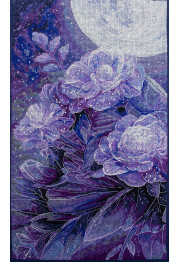 Cross Stitch Kit "Colors of the night"