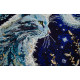 Cross Stitch Kit "Night guest"
