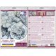 Cross Stitch Kit "Cold touch"