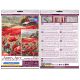 Cross Stitch Kit "Poppies at sunset"