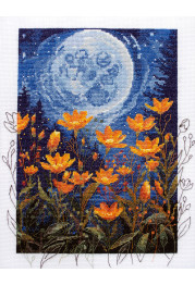 Cross Stitch Kit "Night contrast"