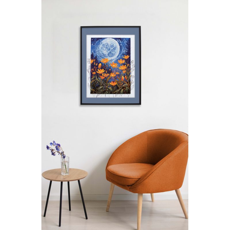 Cross Stitch Kit "Night contrast"