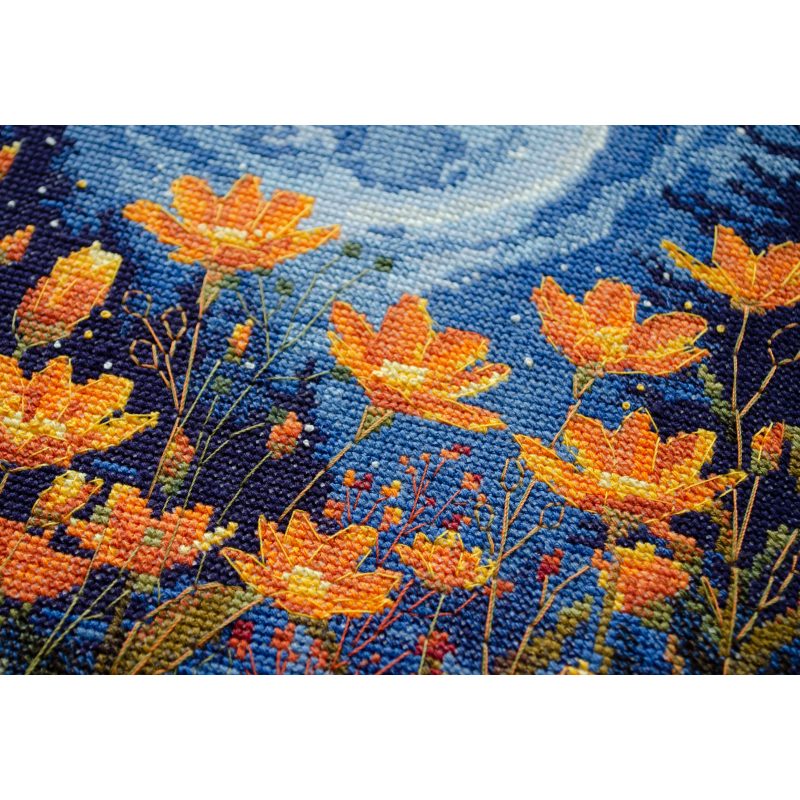Cross Stitch Kit "Night contrast"