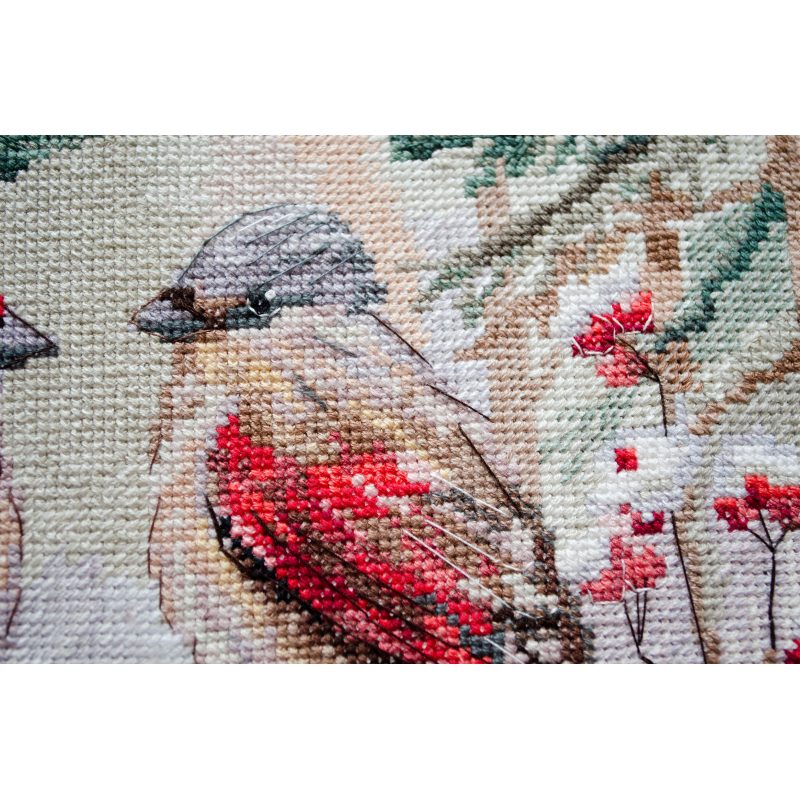 Cross Stitch Kit "Chittering about winter"