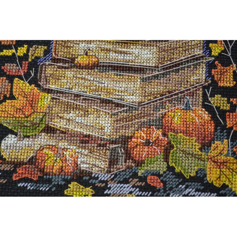 Cross Stitch Kit "Magic pages"