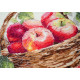 Cross Stitch Kit "Bulk apples"