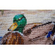 Cross Stitch Kit "Evening swim"