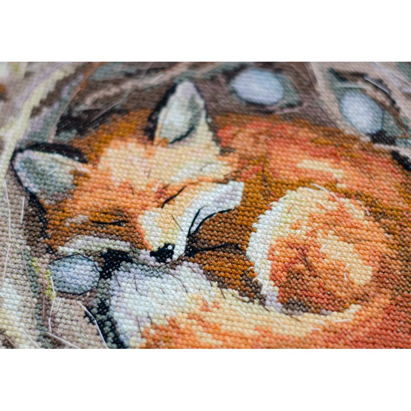 Cross Stitch Kit "Protector of a foreign home"