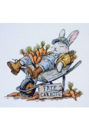 Cross Stitch Kit "Free carrots"