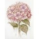 Cross Stitch Kit "A Fragile Bloom"