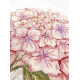 Cross Stitch Kit "A Fragile Bloom"