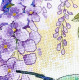 Cross Stitch Kit "The flight of the hummingbird"