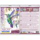 Cross Stitch Kit "The flight of the hummingbird"