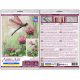 Cross Stitch Kit "Sweet clover"