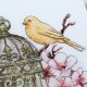 Cross Stitch Kit "Canary Song"