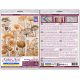 Cross Stitch Kit "Preserve the Moment"