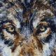 Cross Stitch Kit "Northern Alpha"