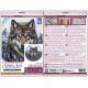 Cross Stitch Kit "Northern Alpha"