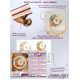 Satin Stitch Embroidery Kit "Golden moon"