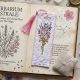 Cross Stitch Kit "Bookmark "Celestial Watch""