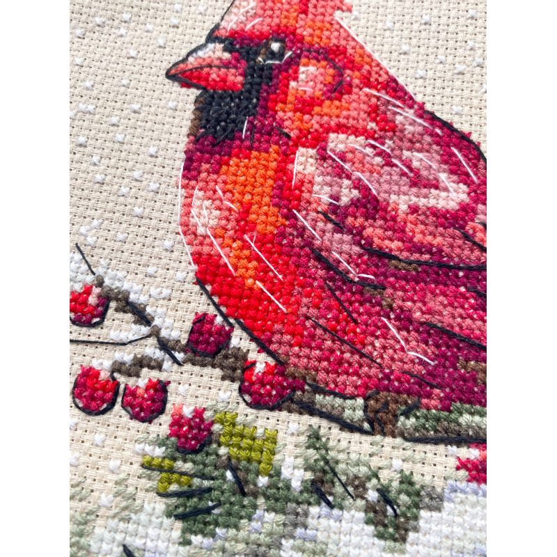 Cross Stitch Kit "Winter Cardinal"
