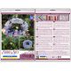 3D Cross Stitch Ornament Kit "Nativity scene"