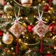 3D Cross Stitch Ornament Kit "Christmas Treat"