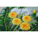 Mini Bead Embroidery Kit on Art Canvas "Favorite dandelion"