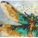 Mini Bead Embroidery Kit on Art Canvas "Emerald wings"