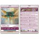 Mini Bead Embroidery Kit on Art Canvas "Emerald wings"